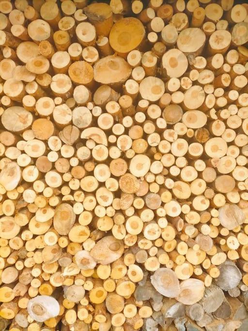 El Telar Arte Y Naturaleza Prádena Eksteriør billede