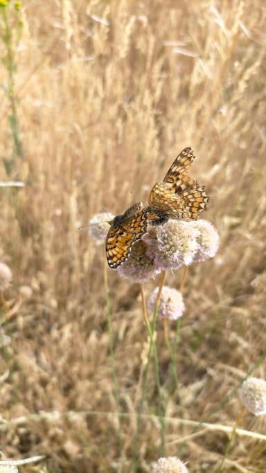 El Telar Arte Y Naturaleza Prádena Eksteriør billede
