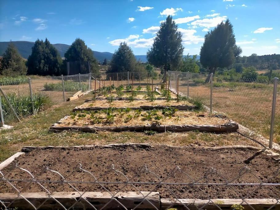 El Telar Arte Y Naturaleza Prádena Eksteriør billede